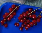 Apfel 🍎- Johannisbeeren - Salat Rezeptschritt 1 Foto