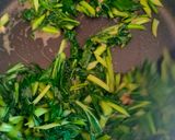 Foto langkah ke 4 dari resep Bakmie Sayur.