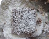 Φωτογραφία βήματος 5 της συνταγής Lamington (Μικρά κέικ με επικάλυψη ινδοκάρυδου και γκανάζ σοκολάτας)🇦🇺