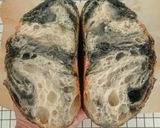 Foto langkah ke 29 dari resep Yin Yang Sourdough Bread (92% - Oven Tangkring).