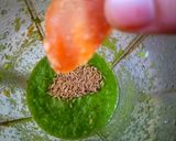 A picture of step 3 of Guava Chutney.