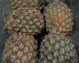 Foto langkah ke 1 dari resep Selai Nanas Asam Manis.