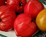 Une image de l'étape 1 de TIAN PROVENÇAL AUX LEGUMES ET MOZZARELLA🍆🌶️🍅.