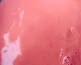 A picture of step 5 of Watermelon milkshake😋.