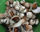 Foto langkah ke 2 dari resep Sup Kerang Praktis.