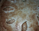 Foto del paso 6 de la receta: Tarta de acelga