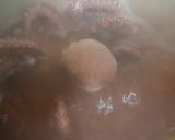 Foto del paso 3 de la receta: Pulpo a la gallega 