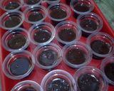 Foto langkah ke 1 dari resep Puding Coklat Vla Keju.