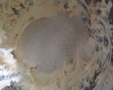 Foto del paso 5 de la receta: Pastisetas y Alfajores