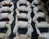 Foto del paso 3 de la receta: Medialunas de jamón y queso