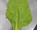 A picture of step 4 of Palak patra.