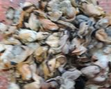 Foto del paso 9 de la receta: Mariscal frío costero