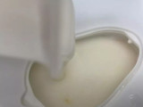 中秋金柚玉兔