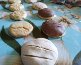 Foto del paso 14 de la receta: Conchas de chocolate y vainilla