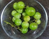 ઇન્સ્ટન્ટ ગુંદા નું અથાણું (Instant Gunda Athanu Recipe In Gujarati) રેસીપી સ્ટેપ1ફોટો