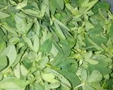 A picture of step 1 of Methi Paratha.