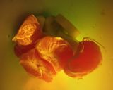 Foto del paso 3 de la receta Batido de Pepino y Mandarina