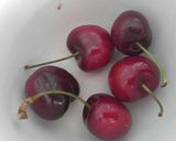 Foto del paso 2 de la receta: Cerezas bañadas en chocolate