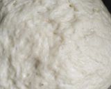 Foto del paso 3 de la receta: Pan tipo tortuga (sin leche ni manteca)