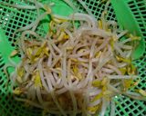 Foto langkah ke 4 dari resep Soto Ayam Khas Padang.