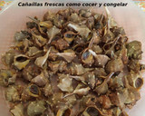Foto del paso 8 de la receta: Cañaíllas frescas. Cómo cocer y congelar