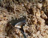 Foto langkah ke 5 dari resep Nasi goreng ayam udang.