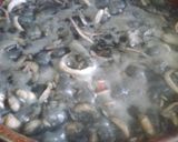 Foto del paso 5 de la receta: Arroz con camarones y calamares en su tinta