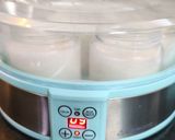 Foto del paso 3 de la receta: Yogurt casero light de vainilla en yogurtera