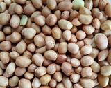 Foto langkah ke 1 dari resep Bolu Kacang Simpel (anti gagal).