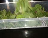 A picture of step 1 of Tips Homemade Mint Powder: Freshness in a Jar.