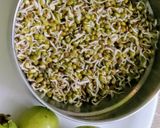 A picture of step 2 of Sprouted Moong Fruits Salad.