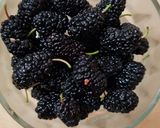Foto del paso 1 de la receta: Agua de moras y albahaca 🌱 Agua saborizada y refrescante de moras blancas y negras con albahaca 🌱