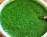 ઈઝી & ટેસ્ટી ફુદીના ની ચટણી (Easy & Tasty Pudina Chutney Recipe In Gujarati) રેસીપી સ્ટેપ2ફોટો