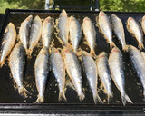 Foto del paso 2 de la receta: Sardinas a la plancha