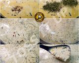 A picture of step 2 of The Delicious Veg White Sauce Pasta Recipe In One Pot A Complete Meal.