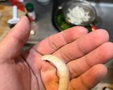 假胡麻涼拌雞絲的食譜步驟1照片