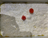 Foto del paso 5 de la receta: Focaccia de masa madre