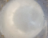 Foto del paso 4 de la receta: Lomo de merluza en salsa holandesa