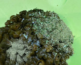 Foto del paso 4 de la receta: Snack crujiente de cochayuyo con finas hierbas