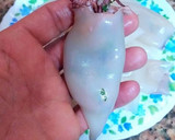 Foto del paso 6 de la receta: Chipirones frescos rellenos en salsa de cebolla y tikka curry