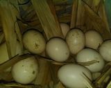 Foto langkah ke 1 dari resep Telor Sambalaria.