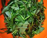 Foto langkah ke 1 dari resep Kangkung kangenin.