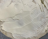 Foto del paso 3 de la receta: Quesadillas de salmón con queso crema