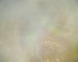 Mutton biryani recipe step 5 photo