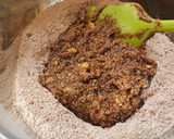 Foto del paso 5 de la receta: Galletitas de café de olla