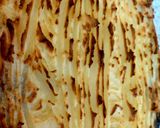 A picture of step 8 of My Kind of Cottage Pie 😋.