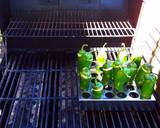 Mike's Low Carb 6 Cheese Grilled Jalapeo Poppers & Bronco Berry Sauce recipe step 7 photo