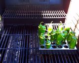 A picture of step 7 of Mike's Low Carb 6 Cheese Grilled Jalapeño Poppers & Bronco Berry Sauce.