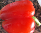 Foto del paso 4 de la receta: Gazpacho rico rico de la Brigada Espartana