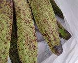 Foto langkah ke 1 dari resep Kripik Pisang Raja Nangka.
